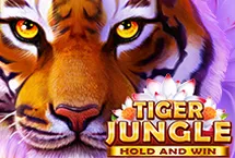 RTP quickspin kingbet189